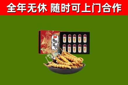 济宁回收冬虫夏草价格